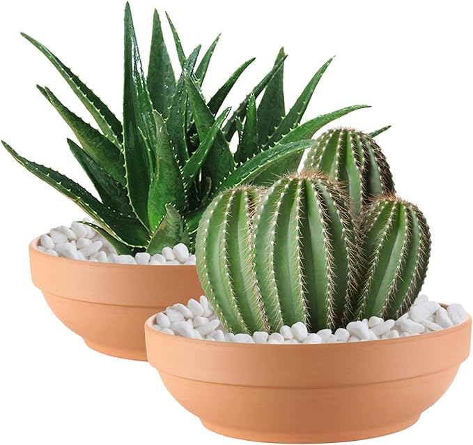 Laerjin Terra Cotta Pots for Plants with Drainage Hole, 2 Pack Large Round Clay Flower Pots, 8.66" Clay Ceramic Pottery Planter Cactus Flower Pots