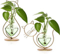 Plant Terrarium Plants Propagation Station Cat Lover Gifts for Women Home Office Decor Cat Desk Accessories