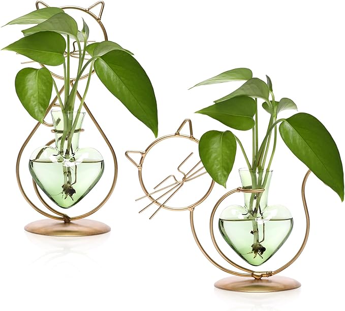 Plant Terrarium Plants Propagation Station Cat Lover Gifts for Women Home Office Decor Cat Desk Accessories
