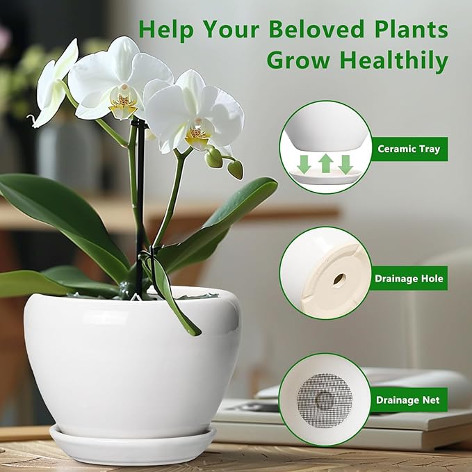 Ceramicfor Ceramic Pot for Plants - 6 Inch Plant Pot for Succulent Plants, Glaze Modern Round Planter with Drainage Hole and Saucer, Gifts for Plant Lovers, Home Office Patio Room Decor, White