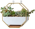 VanEnjoy 7" White Ceramic Wall Planters Vase and Copper,Drainage Hole with Bamboo Tray - Succulent Pot Air Plants Mini Cactus Artificial Flowers Hanging Geometric Hexagon Wall Decor (Gold Metal)