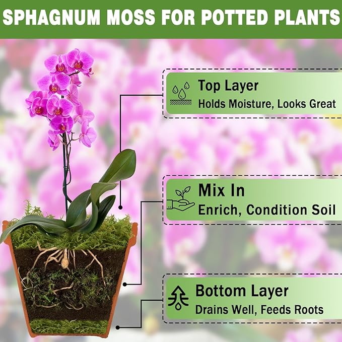 ZeeDix 2-Pack Premium Sphagnum Moss - 2.2 lb Orchid Moss Plant Growing Medium for Terrariums, Orchids, Carnivorous, Succulents & Reptile Habitat Substrate