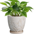 MPotTo 6 Inch Ceramic Plant Pot for Indoor Plants Outdoor Round Planter Flower Pot with Drainage Hole and Saucer for Home Garden Office Decor White