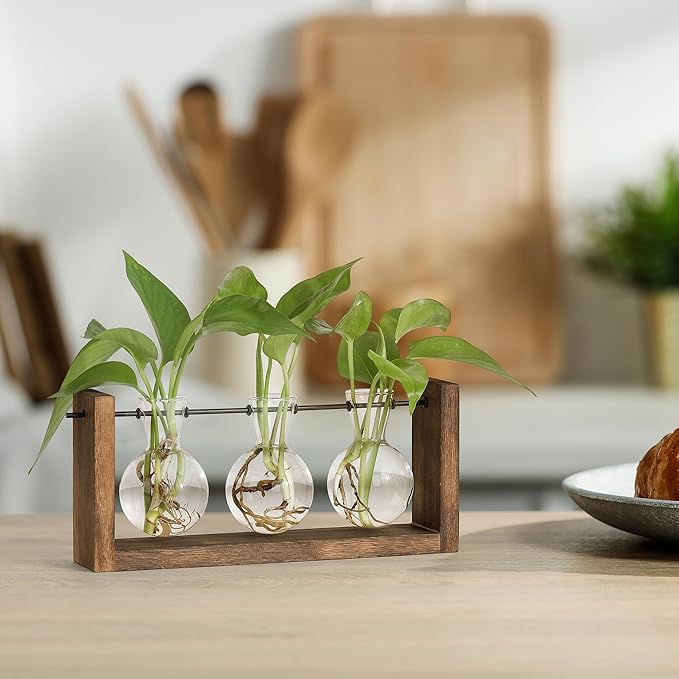 YIBOT Wall Hanging Planter Propagation Station Glass Flower Vase for Hydroponics Plants, Plant Terrarium with Wooden Stand, Bathroom, Home Office Living Room Decor Gift