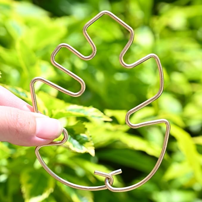 Yohsnor Monstera Plant Stem Support - 5 Piece Set, 4.13x2.95in Durable Leaf Holder & Fishbone Cactus Stake for Healthy Growth of Climbing Plants - Easy to Use Indoor Plant Decor