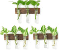 XXXFLOWER Wall Mounted Plant Terrarium with Wooden Stand 3 PCS Hanging Planter Propagation Station with 3 Glass Tubes for Plant Cuttings Flower Vases for Home Office Indoor Decor
