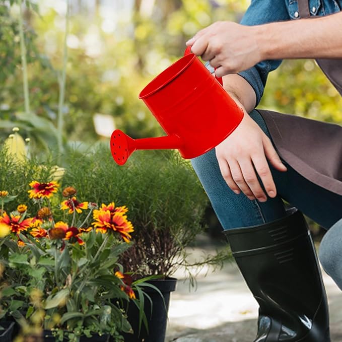 1.6L Watering Can for Indoor Outdoor Plants, Modern Small Watering Cans, Metal Flower Watering Can, Long Spout Watering Can-Colorful Plant Waterer for Indoor Bonsai Plants Garden Flowers (Red)