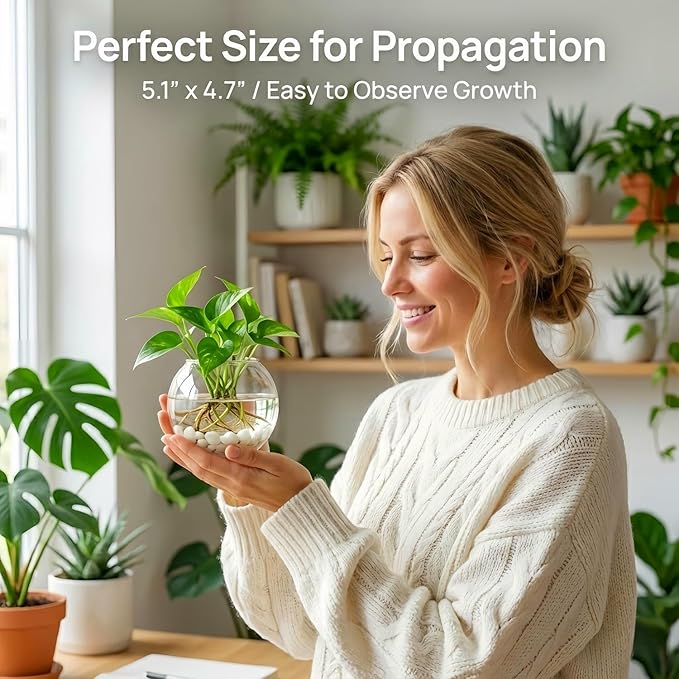 Hanging Wall Planter Propagation Stations - Window & Wall Glass Terrarium with Decorative Stones for Indoor Plants - Plant Holder Vases for Best Boho Chic Home & Office Decor