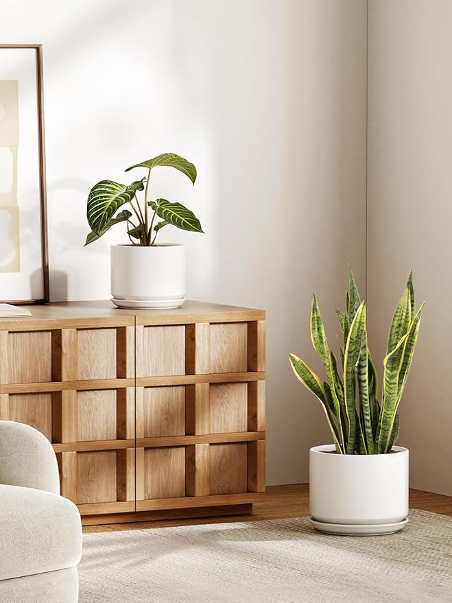 LE TAUCI Ceramic Plant Pots, Set of 2, 8+10 Inch Plant Pots Indoor with Drainage Hole & Saucer, Sturdy Planters for Indoor Plants, Modern Minimalist Decor for Snake Plant, Monstera, White