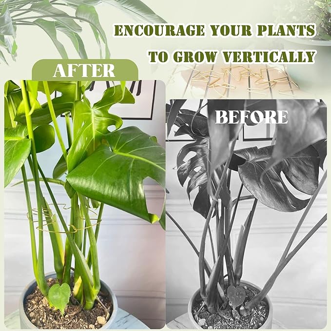 Jiozermi 6PCS Golden Monstera Plant Support, Elegant Metal Plant Stem Support Stakes for Indoor Plants, Durable and Stylish Accessories for Healthy Growth and Stability