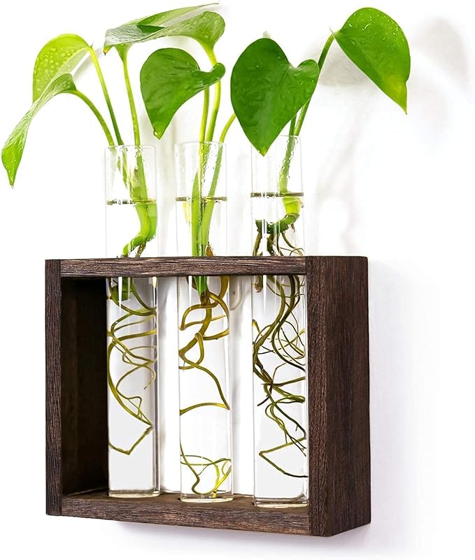 Wall Mounted Hanging Glass Test Tube Planter Propagation Station Glass Vase Rack with Wood Stand, Plant Terrarium Holder for Hydroponics Succulent Air Bamboo Plants with Test Tube