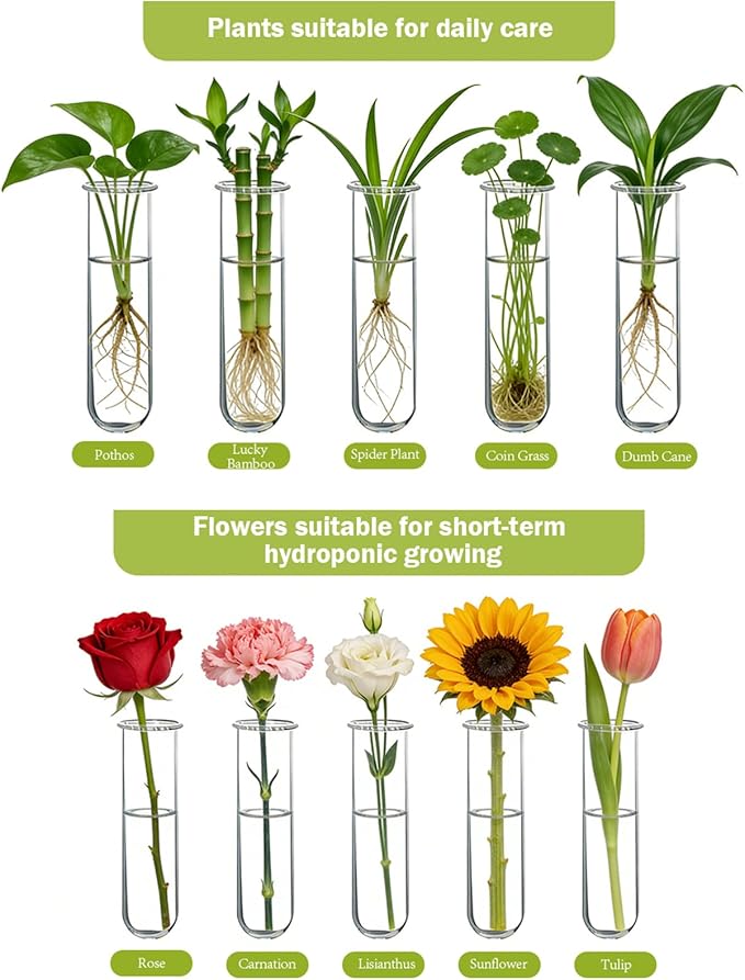 XXXFLOWER Wall Hanging Propagation Station with Wooden Stand 5 Glass Test Tubes 3 Tiers Planters Wall Terrarium for Home Office Plant Hanger Flower Vases Wall Decor Hydroponic Cuttings