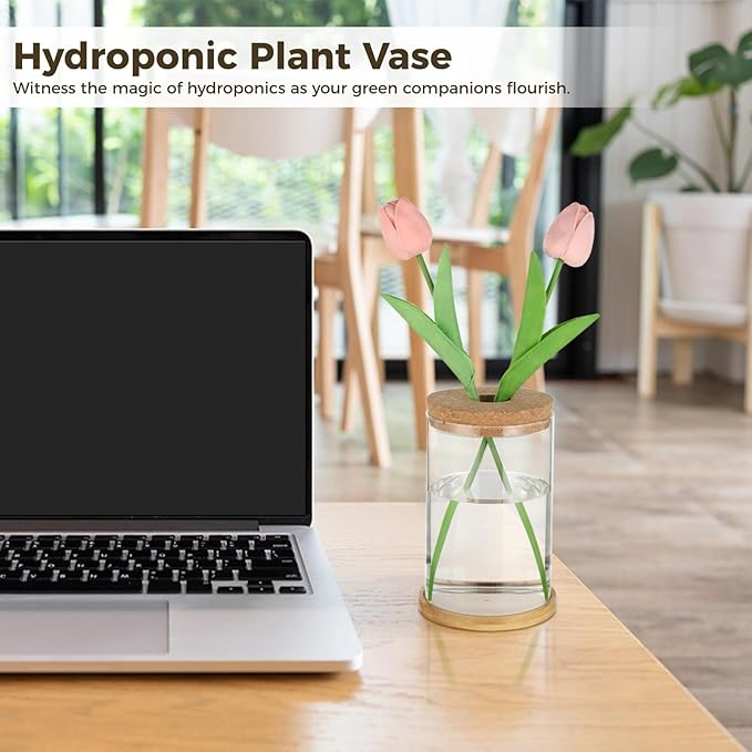 5-7 Inch Small Medium Large Plants Propagation Station - Set of 3 Propagation Vases for Indoor, Glass Plant Containers with Cork and Wooden Tray
