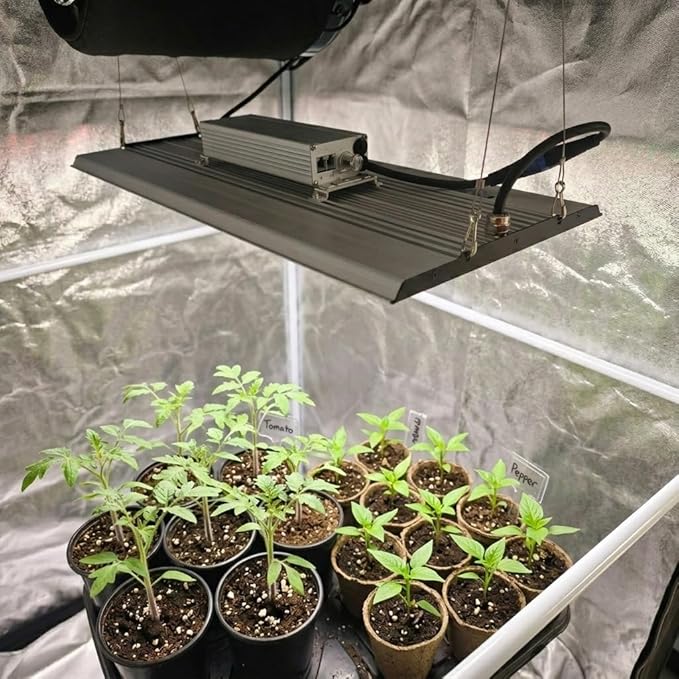 MA2000 200W LED Grow Light Full Spectrum | Commercial Plant Light Panel with Daisy Chain & Dimming | 2x4ft/4x4ft Coverage for Hydroponic Vegetables & High-Yield Plants