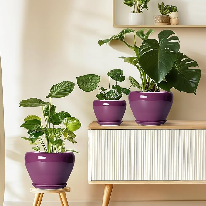 Ceramicfor Ceramic Pots for Plants 6 Inch - Ceramic Plant Pots with Drainage Hole and Saucer, Glaze Round Planter for Succulent Plants, Gifts for Plant Lovers, Garden Home Decor, Purple