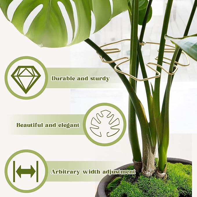 Jiozermi 6PCS Golden Monstera Plant Support, Elegant Metal Plant Stem Support Stakes for Indoor Plants, Durable and Stylish Accessories for Healthy Growth and Stability
