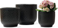 4 + 5 + 6 Inch Ceramic Pots for Indoor Plants, Succulents Plant Pots, Orchid Flower Pot with Drainage Hole, Modern Clay Stoneware Planters, Set of 3 (Black, 4+5+6 Inch)
