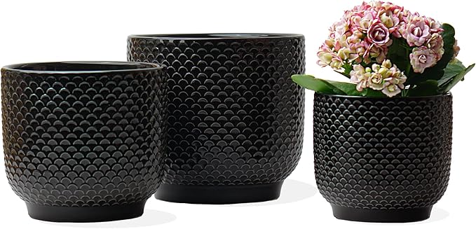 4 + 5 + 6 Inch Ceramic Pots for Indoor Plants, Succulents Plant Pots, Orchid Flower Pot with Drainage Hole, Modern Clay Stoneware Planters, Set of 3 (Black, 4+5+6 Inch)