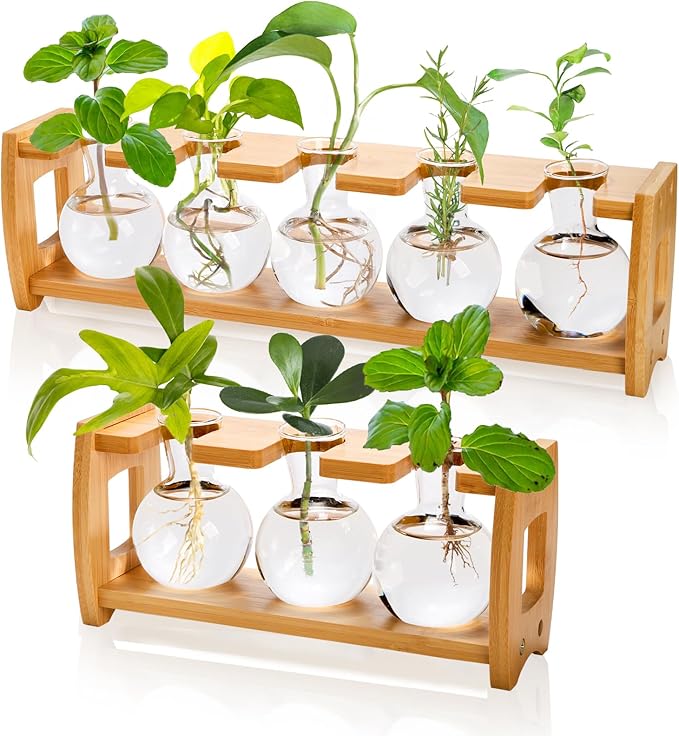 Pumtus 2 Pack Propagation Stations with Bamboo Stand, 8 Bulbs Desktop Water Plant Terrarium Vase, Retro Plant Propagation Jars for Indoor Plants, Glass Planter Gifts for Home Office Table Decor