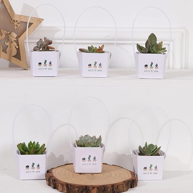 40pcs Watch Me Grow Succulents Wraps [NOT Include Plants and Pots]-[Fits 2 Inch Pots] Succulent Gift Wraps Bags Decoration Succulent Sleeve for Baby Shower Favors Ideas,White