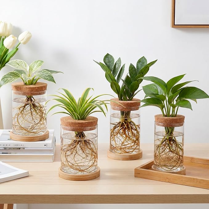6 Pack Glass Plant Propagation Stations Hydroponic Vases with Wooden Saucer Small Glass Jar Planters Plant Station Bud Vases for Desks Home Garden Office Decorations