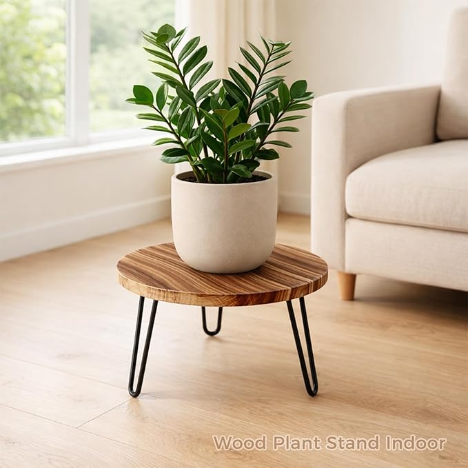 Wood Plant Stand 2 Pack Small Plant Stool Indoor 10 Inch Plant Riser Wooden Flower Stand Plant Holders Indoor Stand 6.3" Tall Planter Stands for Plants Corner Round Plant Table Outdoor Floor Plant Stand