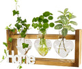 IBEUQEM Heart-Shaped Plant Propagation Station, 3 Glass Plant Terrarium with Wooden Stand, Borosilicate Glass, Hydroponic Planter for Office Garden Home Decor, for Women Lovers