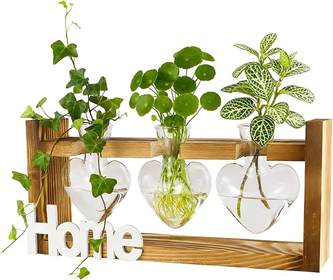 IBEUQEM Heart-Shaped Plant Propagation Station, 3 Glass Plant Terrarium with Wooden Stand, Borosilicate Glass, Hydroponic Planter for Office Garden Home Decor, for Women Lovers