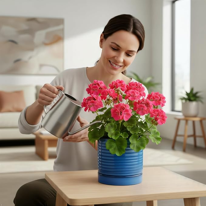 HASENSE Ceramic Plant Pots Indoor Outdoor, 6 Inch Round Pot for Plants with Drainage Hole and Saucer, Reactive Glaze Blue Planter for Herb Snake, Ideal for Mom Gift