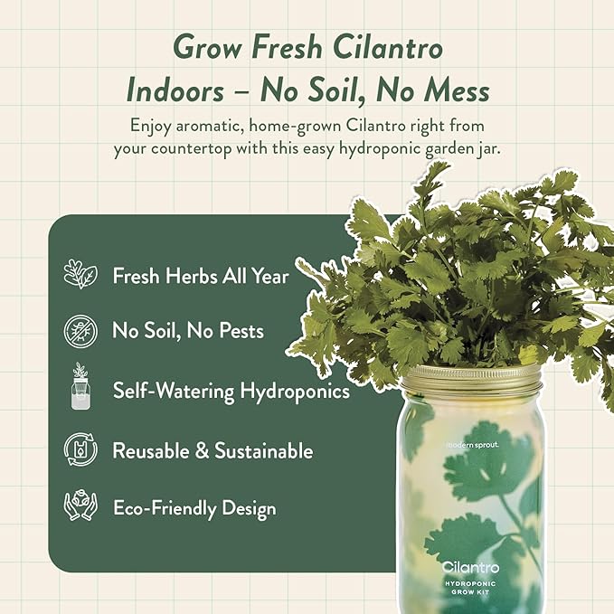 Modern Sprout Mason Garden Jar - Self-Watering Hydroponics Growing System Kit with Organic Herb Seeds - Jar Planter for Indoor Herb Garden - Seed Starter Kit - Home Decor & Gifting - Cilantro