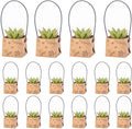 40Pcs Succulent Wrap Bags (fits 2 inch pots), Mini Kraft Succulent Favour Box Basket with Handle for Wedding, Baby Shower, Succulent Party Favours for Guests
