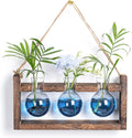 Plant Propagation Station with Wood Stand - Wall Glass Terrarium for Cuttings Air Plants Small Flower Pothos - Gift for Women Plant Lovers (Gradient Blue)