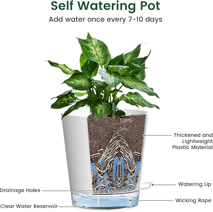 Meowell 8 inch Self Watering Pots for Indoor Outdoor Plants, 2 Pack Flower Plant Pots with Drainage Holes & Clear Reservoir for Visible Water Level, Plastic Wicking Planters for House Plants, White