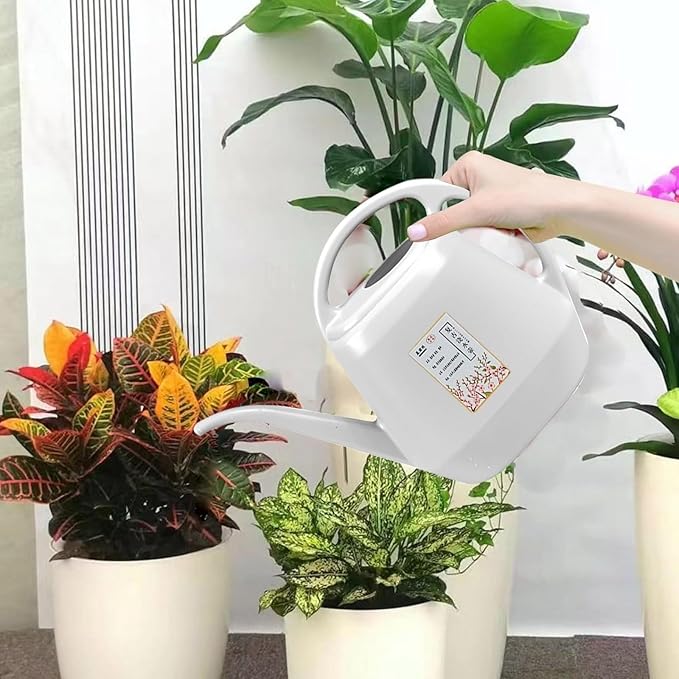 1 Gallon Long Spout Plastic Watering Can with Handle Lightweight Large Watering Can for Garden Flower House Office Indoor Plants Succulent Bonsai