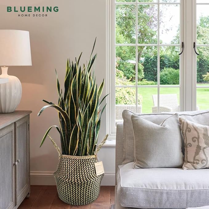 Blueming Home Wicker Plant Basket – Large Seagrass Floor Pot for Faux Olive Tree or Snake Plant, Black Decorative Woven Indoor Planter for 9-10 Inch (Black, Large)