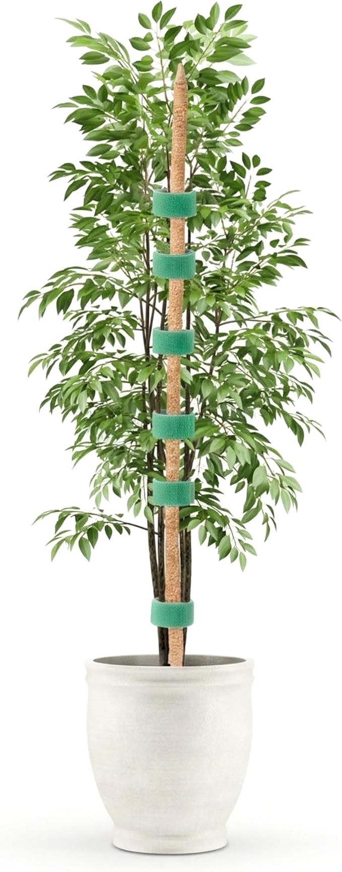 UNCO- Bendable Moss Pole Monstera Plant Support, 48 Inch, 2 Pack, 10 Feet Plant Ties, Moss Poles for Climbing Plants and Monstera Trellis