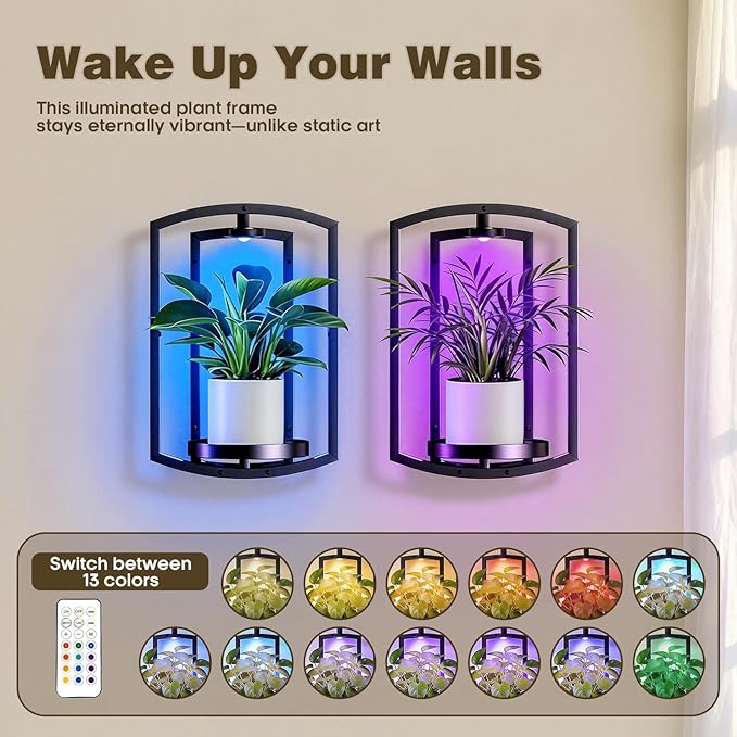 Aisdan Wall Plant Holder, Wall Planters for Indoor Plants with Wireless Remote Lights, Frame Plant Wall Shelves Wall Mounted Plant Holder for Living Room, 2 Pack