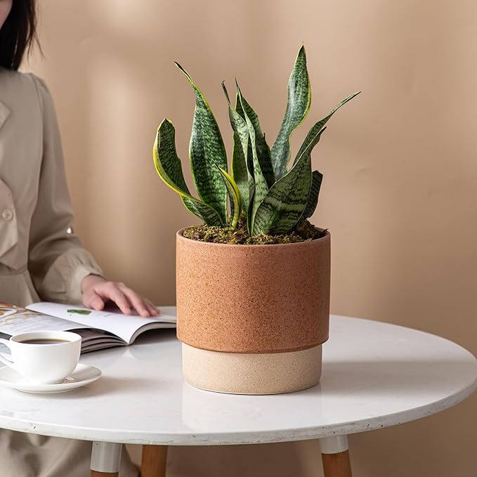 Self Watering Ceramic Planter: 8 Inch Plant Pot with Drainage Hole & Water Storage Plus for Outdoor & Indoor Plants, Succulents, Herbs - Flower Pot for Home or Office Decor - Terracotta