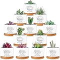 12 Pcs Inspirational Succulent Pots Thank You Gift Bulk for Women Employee Teacher Coworker Sometimes You Forget You're Awesome Small Ceramic Plant with Bamboo Trays for Office Staff Graduation