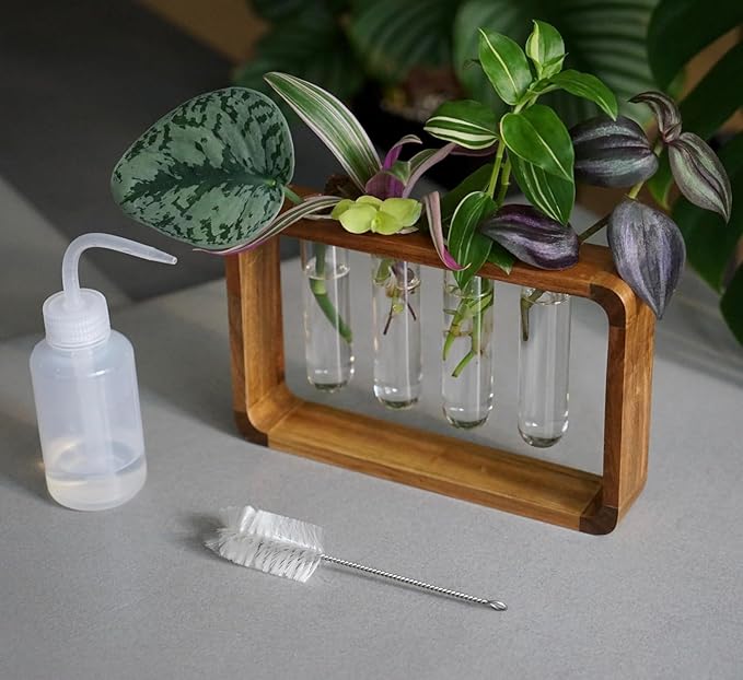 Source & Plot Plant Propagation Station - Acacia Wood Stand with 4 Glass Test Tubes, Tabletop Hydroponic Terrarium Planter Rack for Rooting & Houseplant Decor, Gift for Plant Lovers