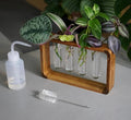Source & Plot Plant Propagation Station - Acacia Wood Stand with 4 Glass Test Tubes, Tabletop Hydroponic Terrarium Planter Rack for Rooting & Houseplant Decor, Gift for Plant Lovers