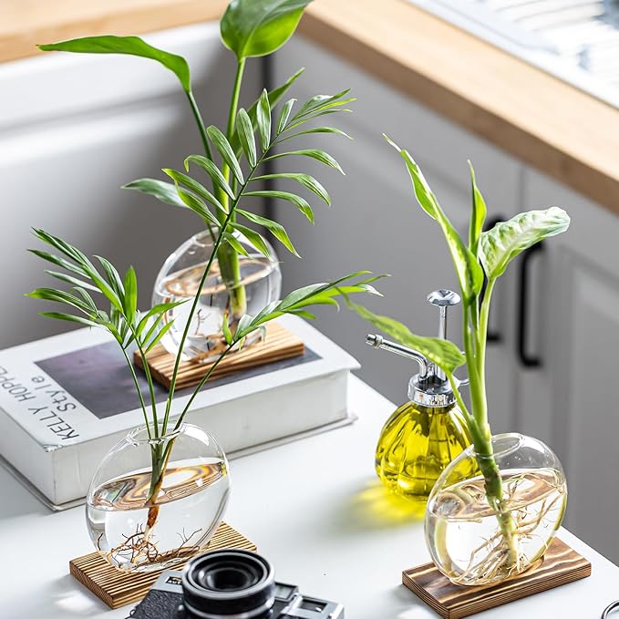 Propagation Vases for Plants - Glass Terrarium Planter with Wooden Stand, Small Desktop Oblate Hydroponic Propagation Vases for Modern Home & Office Decor (2)