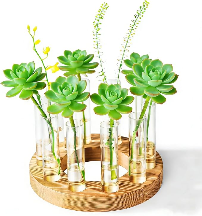 Melphoe Glass Bud Vases Small Flower Vase for Centerpieces Wedding Table Decorations, Home Decor, Propagation Station Plant Terrarium with Wooden Stand, Unique Plant Lover Gifts for Women (Brown)