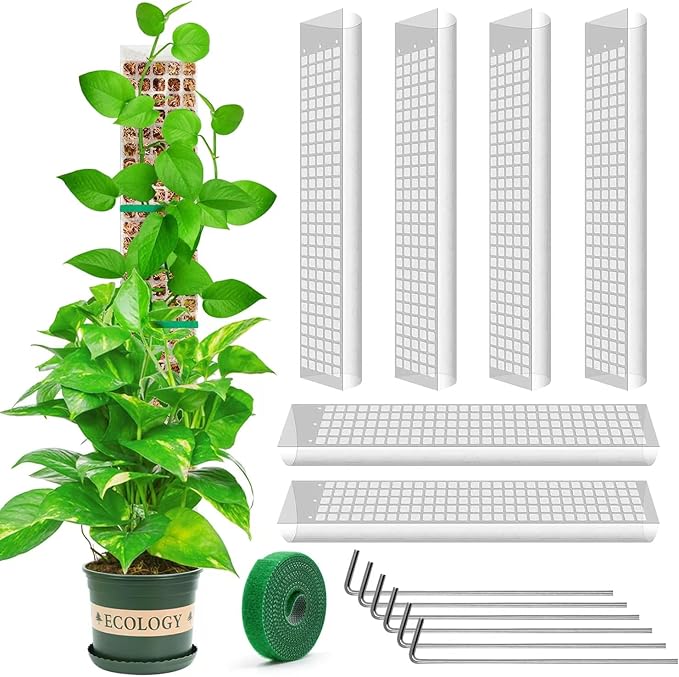 YSKS 6 Pcs 24-inch Plastic Moss Poles for Plants ，Moss Poles for Climbing Plants, Indoor Plant Support Work with Sphagnum muss
