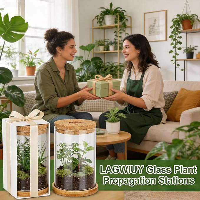 Glass Plant Propagation Stations, 2PCS Hydroponic Vases with Wooden Lid and Bamboo Stand for Plant Growing, Home & Office Decor
