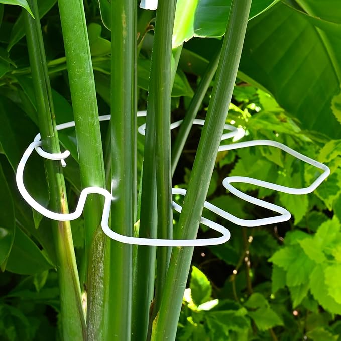 Yohsnor White Monstera Plant Stem Support - 5PCS 7.3x6.25in Durable Adjustable Garden Stake for Indoor Plants, Fishbone Cactus Holder, Innovative Leaf Clip Set, Ideal Tool for Healthy Plant Growth