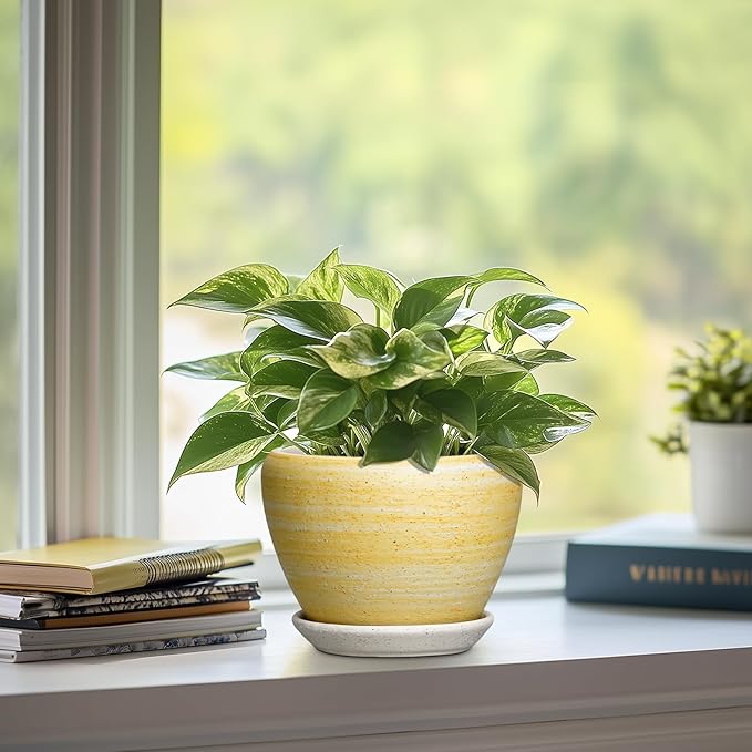 Ceramic Planter - 6 Inch Plant Pots for Indoor Outdoor Plants, Modern Indoor Flower Pots with Drainage Hole and Saucer, Round Planter, Bathroom Decor, House Warming Gifts, Textured Yellow