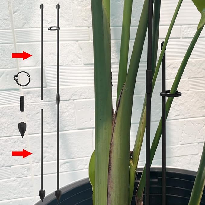 Plant Stakes for Indoor Plants, RIFNY 14 Inch Plant Support Stakes with Clips, Tall Adjustable Plant Sticks for Indoor Monstera Tomato Orchid Potted Plants Flower (10 PCS, Black)