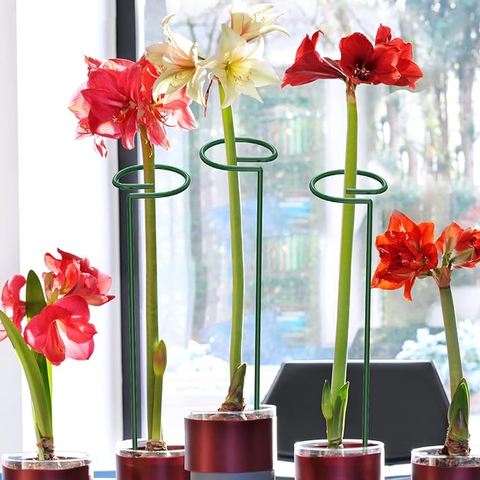 Unves 12 Pack Plant Stakes, 15.75 Inch Green Single Stem Flower Garden Plant Support with 100 Pcs Twist Ties, Plants Cage Support Rings for Amaryllis Orchid Peony Rose