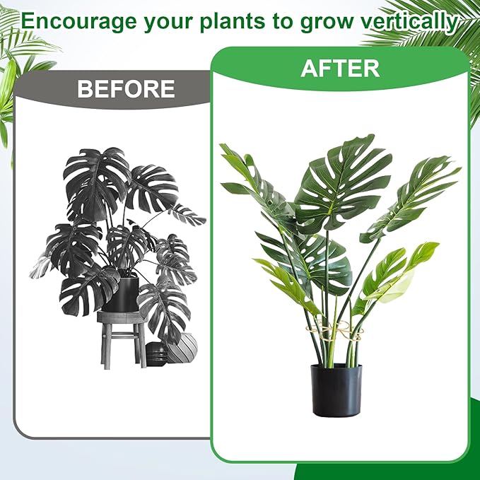 6pcs Plant Stem Support, Iron Monstera Plants Support, Plant Stem Holder Support Unique Design Bamboo Clamp Set for Outdoor & Indoor Growing Climbing Plants Stabilization and Supports